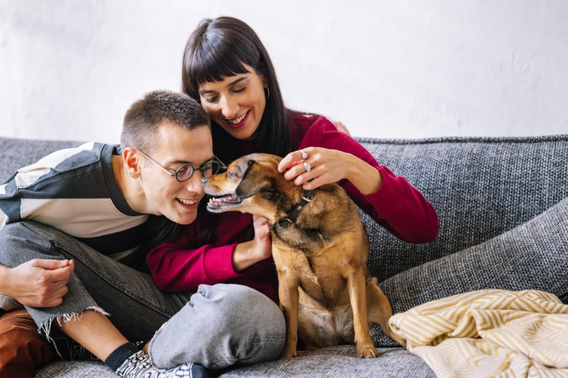 What Are the Different Types of Furnaces? Couple on couch playing with dog.